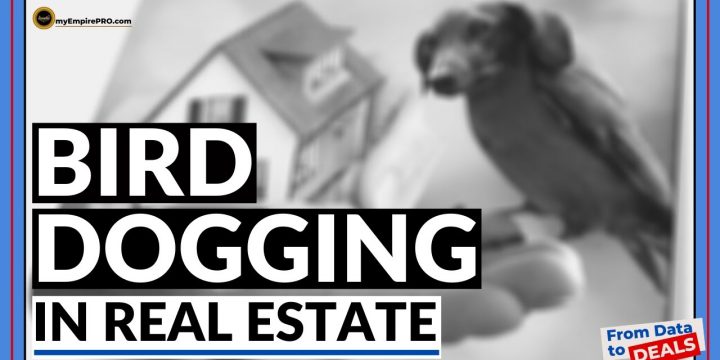 What Does BIRD DOGGING Mean In Real Estate?