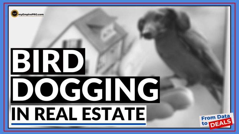 what-does-bird-dogging-mean-in-real-estate-myempirepro