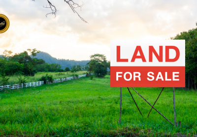 Wholesaling Lots – How To Wholesale Vacant Lands