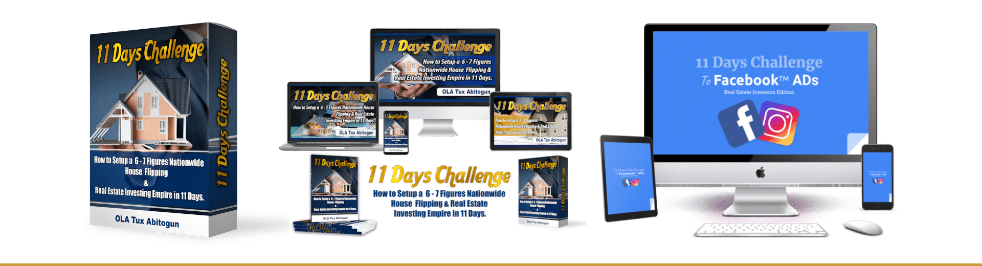 11 Days Challenge to Wholesale Real Estate